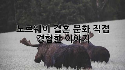 노르웨이 결혼 문화: 직접 경험한 이야기