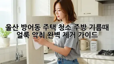 울산 방어동 주택 청소: 주방 기름때, 얼룩, 악취 완벽 제거 가이드